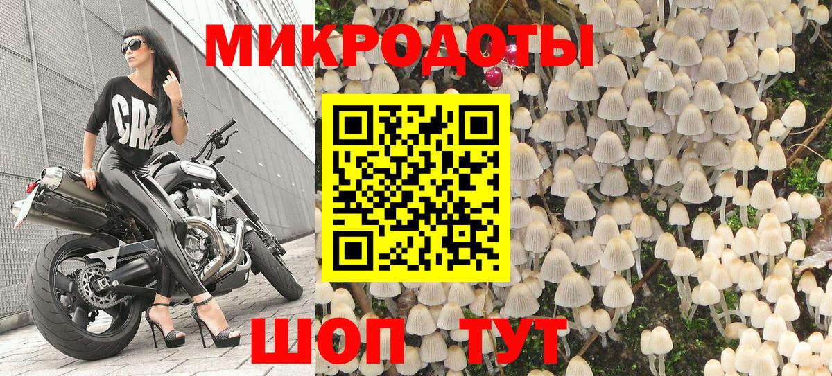 Псилоцибиновые грибы Magic Shrooms Владикавказ